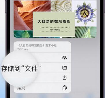 江都apple维修中心分享iPhone文件应用中存储和找到下载文件