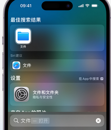 江都apple维修中心分享iPhone文件应用中存储和找到下载文件 