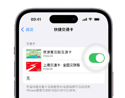 江都apple维修点分享iPhone上更换Apple Pay快捷交通卡手绘卡面 