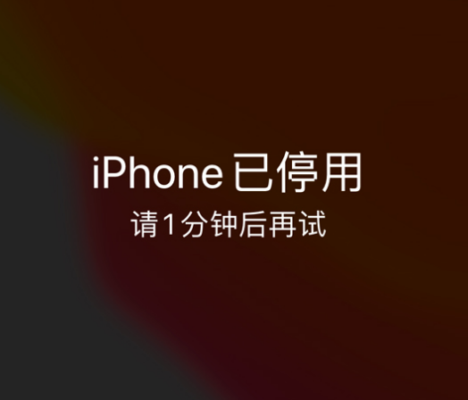 江都苹果手机维修分享:iPhone 显示“不可用”或“已停用”怎么办？还能保留数据吗？ 