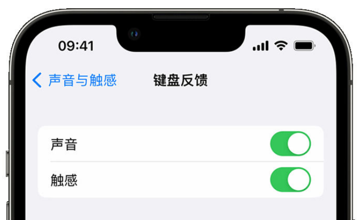 江都苹果手机维修分享iPhone 14触感键盘使用方法 