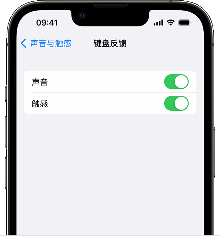 江都苹果14维修店分享如何在 iPhone 14 机型中使用触感键盘 