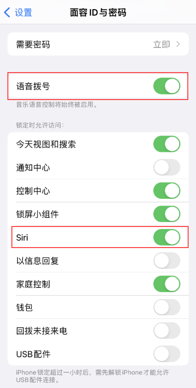 江都苹果维修网点分享不解锁 iPhone 的情况下通过 Siri 拨打电话的方法 