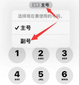 江都苹果14维修店分享iPhone 14 Pro Max使用副卡打电话的方法 