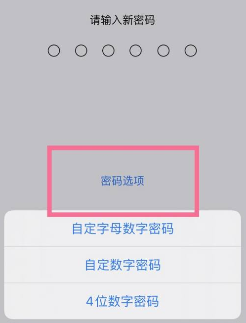 江都苹果14维修分享iPhone 14plus设置密码的方法 