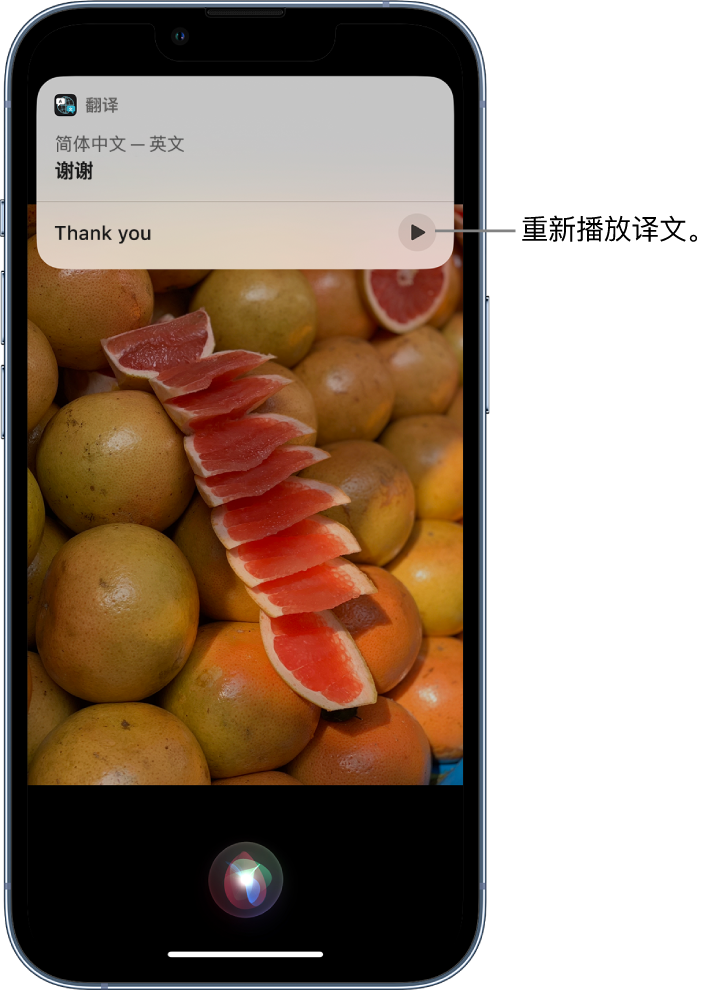 江都苹果14维修分享 iPhone 14 机型中使用 Siri：了解 Siri 能帮你做什么 