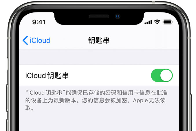 江都苹果手机维修分享在 iPhone 上开启 iCloud 钥匙串之后会储存哪些信息 