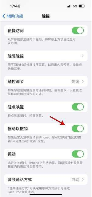 江都苹果手机维修分享iPhone手机如何设置摇一摇删除文字 