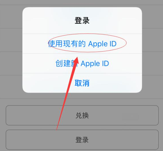 江都苹果手机维修分享两台iPhone设备可以同时登录一个Apple ID吗 