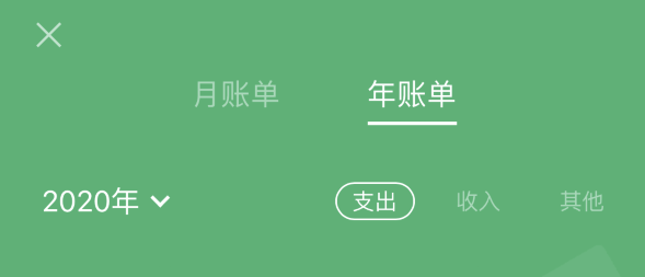江都苹果手机维修分享如何在 iPhone 上查看支付宝和微信年支出账单 